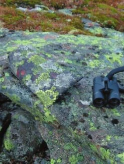 Jerven Fjellduken Hunter -Therm-a-Rest Soldes jervenbag hunter montain